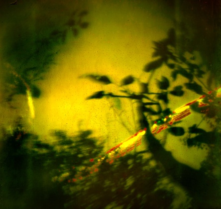 metamorphosen 32/ Jakub Niewdana