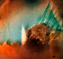 No 12866 Susanne Kirchner