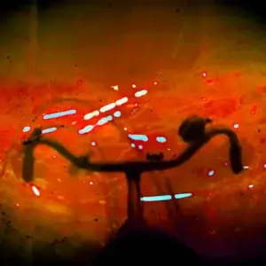 No_6281_9 Die Kamera wurde auf einem Fahrrad installiert. Alles ist unscharf außer der Lenker.